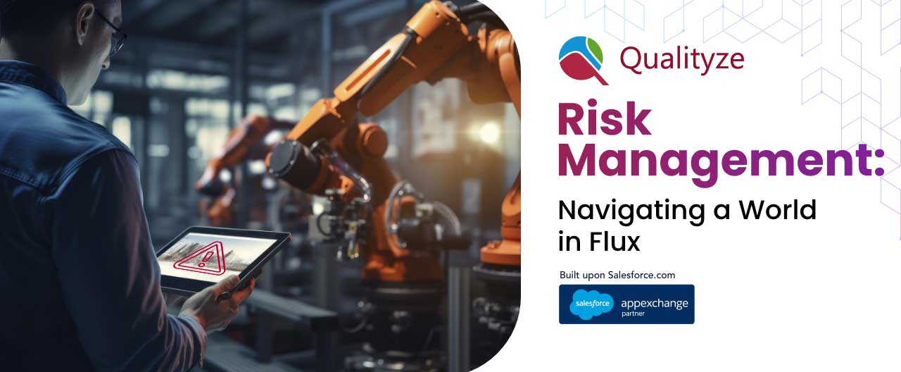 Risk Management: Navigating a World in Flux