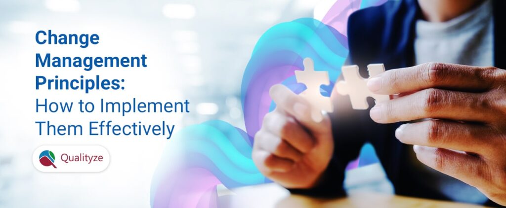 change-management-principles